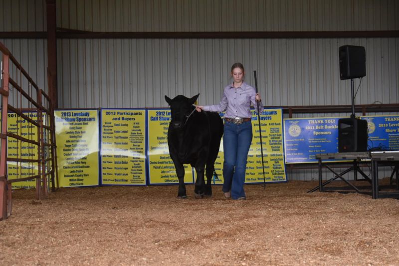Reserve Champion