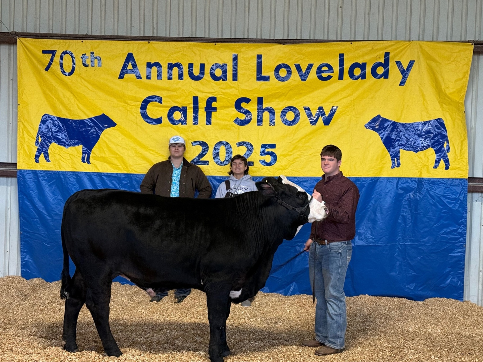 2025 Calf Show Grand Chmpion